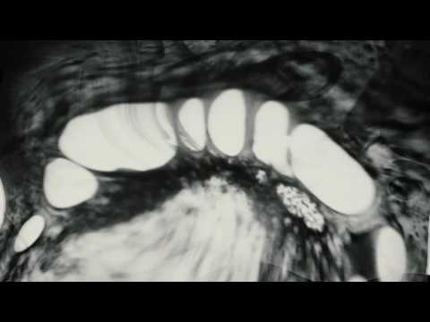 Miss red -Fever (official video)