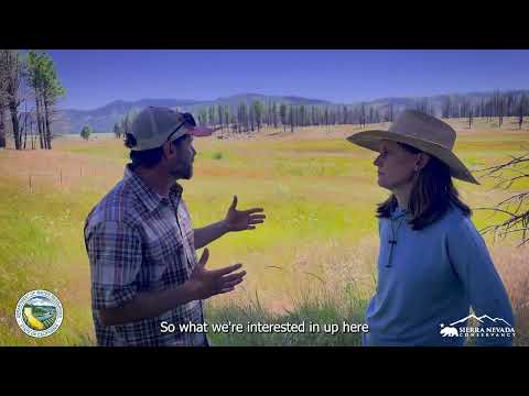 In the field in the Upper Feather River watershed