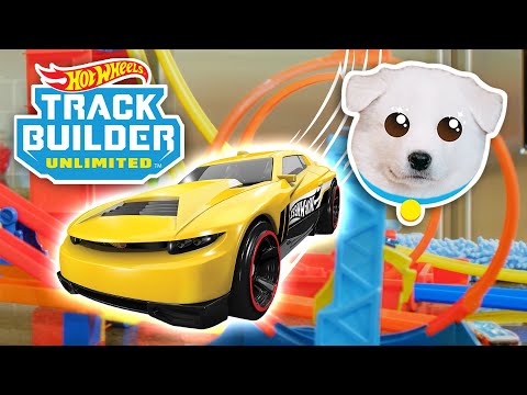 EXTREME Fetch Hacks ft PUPPIES! 🐶 | Full Episode | Mack the Track Hacker | Hot Wheels