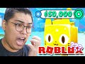 Pet Simulator X #29 - ROBLOX - $50,000 ROBUX SCAMMAS EGG