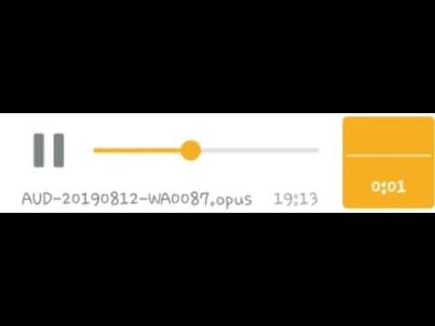 Das doppelte Geknatter!