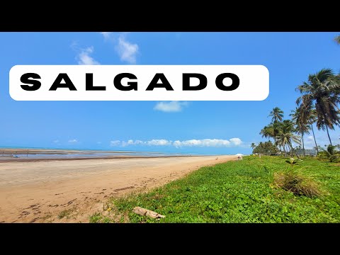 Praia linda entre Maragogi e japaratinga Alagoas 🏖🏖