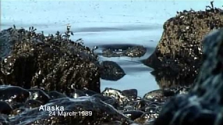 Stephen Fry And The Great American Oil Spill