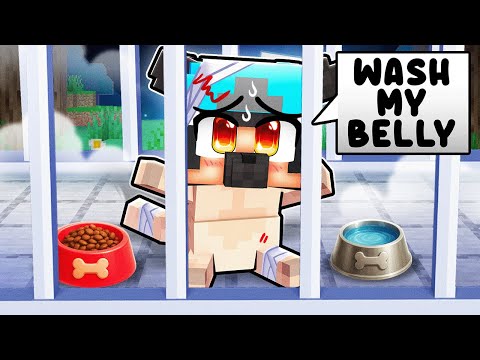 The Sad Story of Pibble Omz in Minecraft...