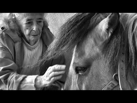image : Les résidents qui murmurent à l'oreille des chevaux