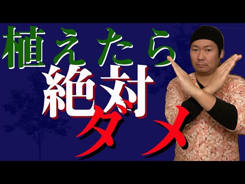 家の近くに植えてはいけない木は何ですか?なぜそれらを避けるのでしょうか？  庭園