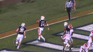 preview picture of video '2013 Auburn vs Georgia Highlights'