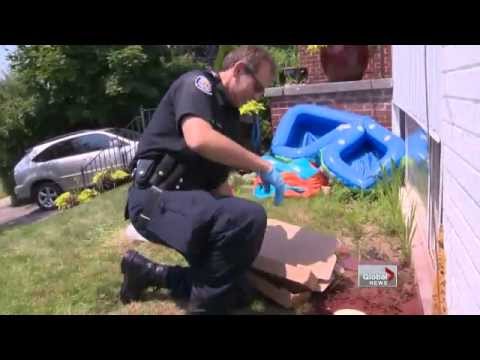 Break and enters in Toronto's west end