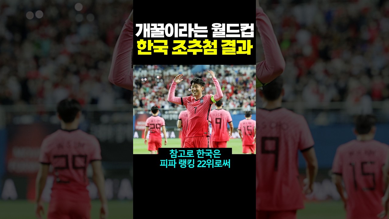 개꿀이라는 월드컵 한국 조추첨 결과