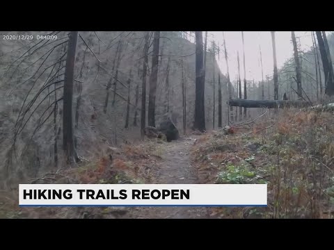 ‘A milestone of recovery’: Hikers trek Eagle Creek Trail for first time since 2017