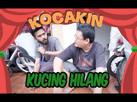 kocakin-kucing-hilang