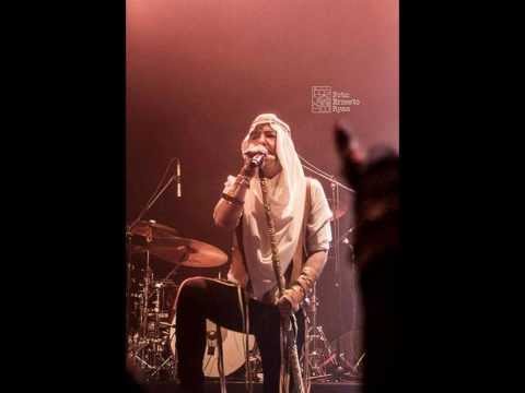 CELOFÁN - BABASONICOS