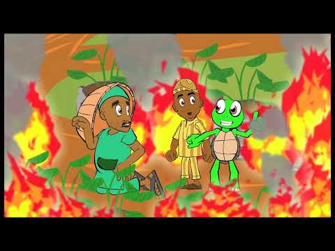 Turtle Taido in Osun and Kogi States