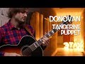 Tangerine Puppet (Donovan cover)