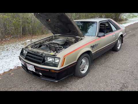 1979 Ford Mustang (CC-1786253) for sale in Stanley, Wisconsin