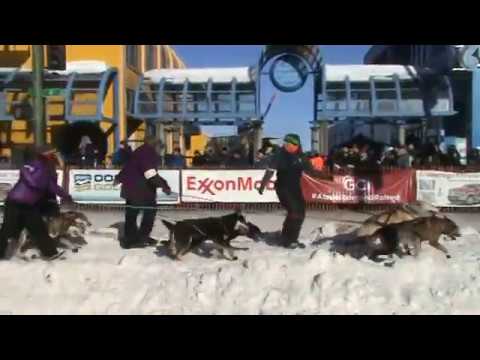 Peter Reuter & the Barkeater Sled Dog Team Launch at the Iditarod Parade Start Line