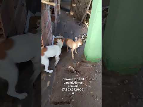 15 de março de 2026