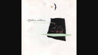 Peter Cetera - One More Story