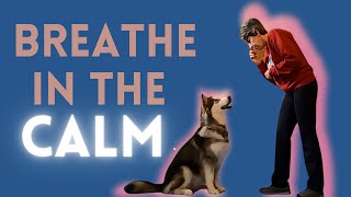 Teach Your Dog to Calm Down with Breathing