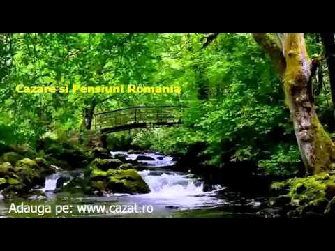 Cazare Floresti, Prahova - Cazat.ro