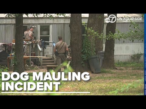 Police: 15-year-old girl killed by dog pack