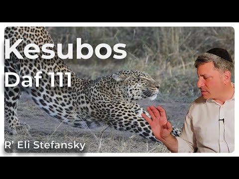 Daf Yomi Kesubos Daf 111 by R’ Eli Stefansky