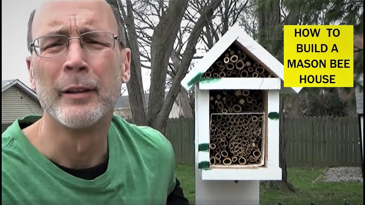 How to Build a Mason Bee House 🐝 Easy DIY for Garden Pollinators!