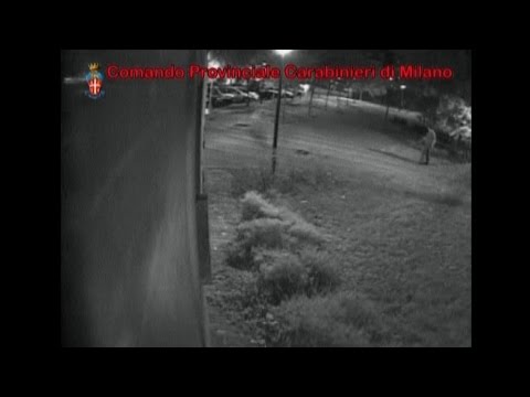 The Bruzzano Shooting Film: The Killer's Cold-Hearted Demeanor