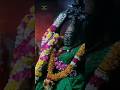 Angalamman Amman Omsakthi Ammansongs Mariyamman Devotional Melmalayanur Malayanur Angali