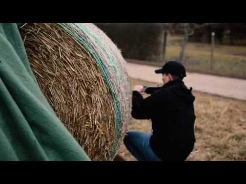 Mensch, Stuttgart - Die Aktivistin