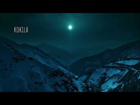 Gogi Gunia - Float (Original mix)