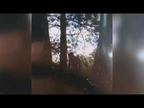 Video thumbnail for lips