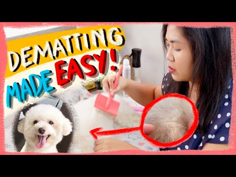 HOW TO DETANGLE MATTED FUR ON DOGS |Quick & Easy Tips|...