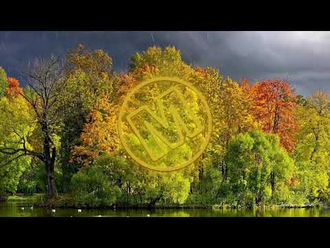 EKAE & KRMA-Skylights