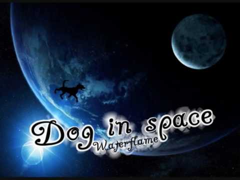 Waterflame - Dog in space