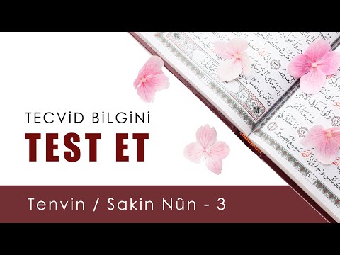 Tecvid Bilgini Test Et 6 | Tenvin / Sakin Nûn 3 | Tecvid Dersleri - Mehmet Emin Yiğit ✨