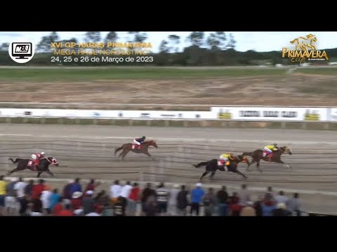 2 PÁREO CLASSIFICATÓRIO GP HARAS PRIMAVERA - 2023