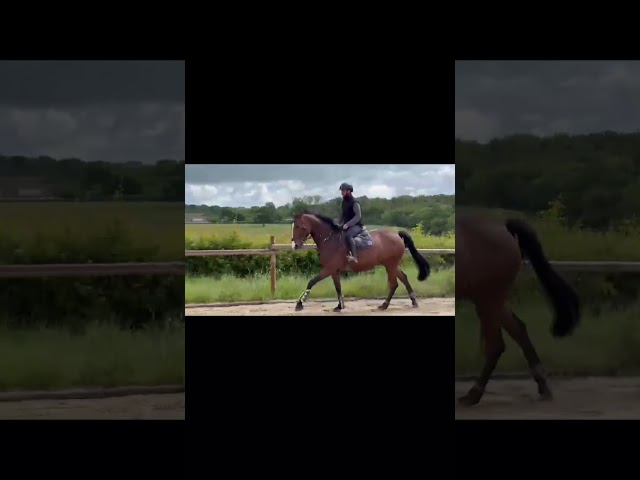 Qualea 7 ans 1m70 
