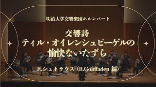 Download lagu R. シュトラウス (R. Goldfaden 編) / 交響詩「ティル・オイレンシュピーゲルの愉快ないたずら」 mp3 Download lagu R. シュトラウス (R. Goldfaden 編) / 交響詩「ティル・オイレンシュピーゲルの愉快ないたずら」 mp3