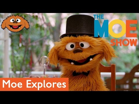 The Moe Show: Moe Explores - Tea Party