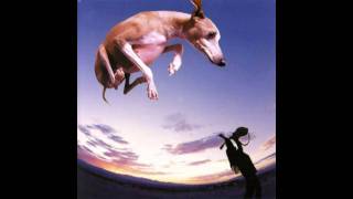 Paul Gilbert - Wrong Man
