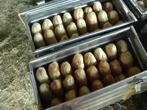 Војна пекара у теренским условима