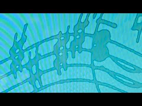 Fire And Rain - Sebastian Link and Alesia Panajota