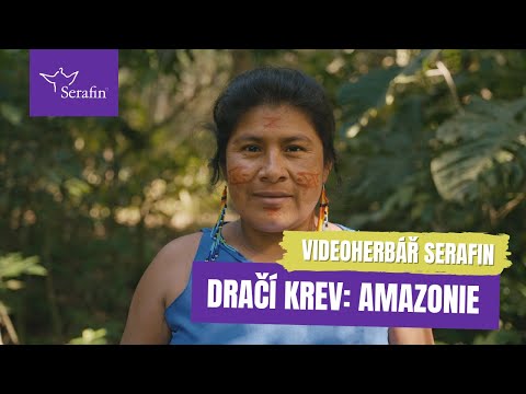 Náhled pro video reference