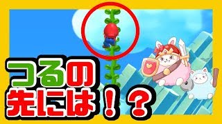 豆の木の上で超音波が！？鳥の声が！？【スーパーマリオメーカー2】#22