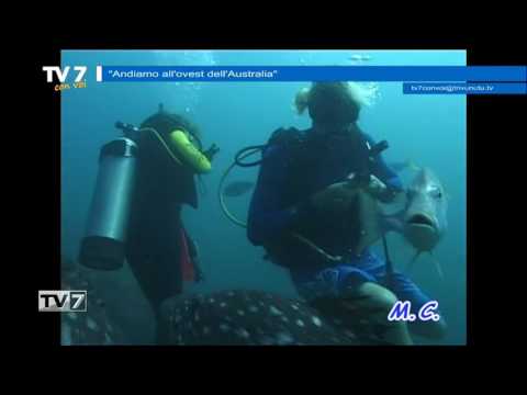 Tv7 con Voi del 3/5/2017 - Andiamo all'ovest dell'Australia  (3 di 3)