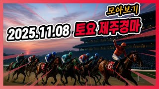 2025년 11월 8일 토요 제주경마 전체경주 모아보기