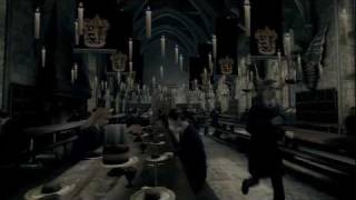 Harry Potter and the Order of the Phoenix video
