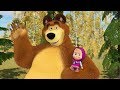 Masha e o Urso - Todas os episódios 🎬 Desenho animado novo 2019!