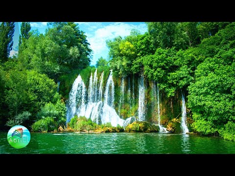 Muzică Liniștitoare Pentru Minte, Inima și Suflet Ce Aduce Vibrații Înalte și Energie Pozitivă